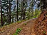 TR 47 Majestic Mountain Trail - Photo 6