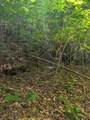 00 Talc Mine Road - Photo 5