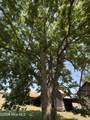 142 Lester Lane Road - Photo 3