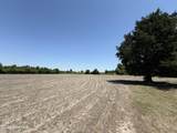 142 Lester Lane Road - Photo 6