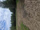 0 Netherland Road - Photo 5