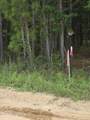 0 Netherland Road - Photo 6