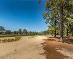 513 Pommel Lane - Photo 47