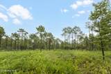 Tract 1 Hwy 17 Off - Photo 19