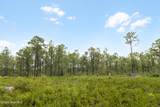 Tract 1 Hwy 17 Off - Photo 20