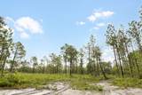 Tract 1 Hwy 17 Off - Photo 21