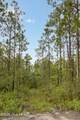 Tract 1 Hwy 17 Off - Photo 22