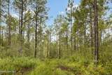 Tract 1 Hwy 17 Off - Photo 23