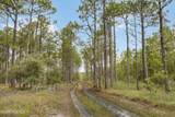 Tract 1 Hwy 17 Off - Photo 24