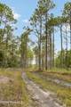 Tract 1 Hwy 17 Off - Photo 25