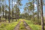 Tract 1 Hwy 17 Off - Photo 26