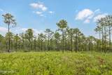 Tract 1 Hwy 17 Off - Photo 7