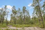 Tract 1 Hwy 17 Off - Photo 8