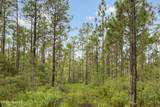 Tract 1 Hwy 17 Off - Photo 9