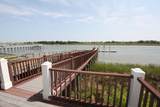 1809 Harbour Edge Lane - Photo 52