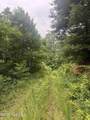 78 Lt 78 Pitch Pine Drive - Photo 12