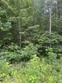 78 Lt 78 Pitch Pine Drive - Photo 2
