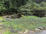 78 Lt 78 Pitch Pine Drive - Photo 20