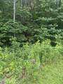 78 Lt 78 Pitch Pine Drive - Photo 4
