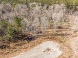 141 Gin Branch Road - Photo 3