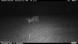 Off Swamp Fox Hwy Highway - Photo 11