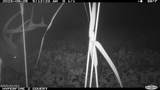 Off Swamp Fox Hwy Highway - Photo 12