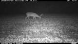 Off Swamp Fox Hwy Highway - Photo 13