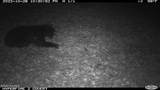 Off Swamp Fox Hwy Highway - Photo 14