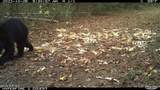 Off Swamp Fox Hwy Highway - Photo 15