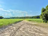 Off Swamp Fox Hwy Highway - Photo 26