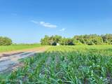 Off Swamp Fox Hwy Highway - Photo 27