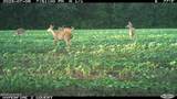 Off Swamp Fox Hwy Highway - Photo 31