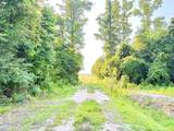 Off Swamp Fox Hwy Highway - Photo 6