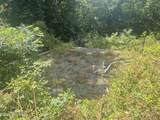45 Meadowlark Terrace - Photo 7