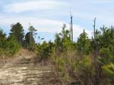 4161 Caratoke Highway - Photo 1