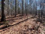 Lot 50 Deyton Drive - Photo 12