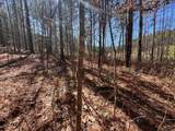 Lot 50 Deyton Drive - Photo 13