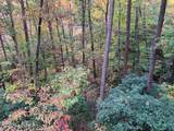 55 Laurel Spring Drive - Photo 19