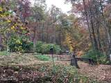 55 Laurel Spring Drive - Photo 39