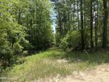 0 Burks Mountain Road - Photo 1