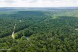 0 Burks Mountain Road - Photo 21
