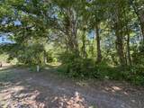 2213 Forest Drive - Photo 6