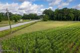 0 Alligator Loop Road - Photo 10