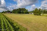0 Alligator Loop Road - Photo 12