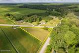 0 Alligator Loop Road - Photo 8