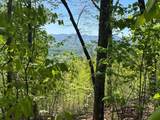 Lot 11J Ash Branch View - Photo 1