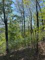 Lot 11J Ash Branch View - Photo 4