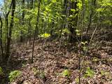 Lot 11J Ash Branch View - Photo 5