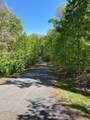 Lot 11J Ash Branch View - Photo 6