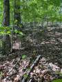 Lot 11J Ash Branch View - Photo 7